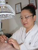 Dr. Liu performing acupuncture